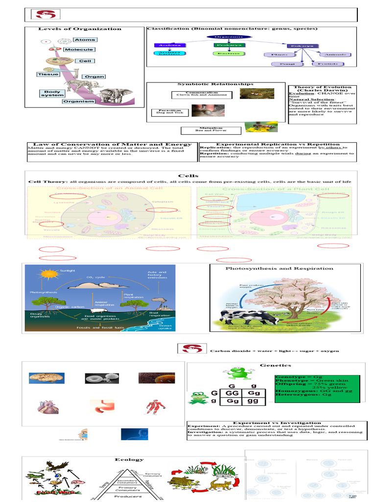 Life Science Reference Sheet Biology | PDF | Experiment | Evolution