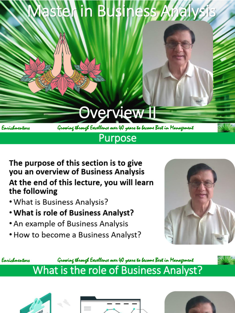 Business Analyst Role and Overview Guide | PDF | Business Analysis ...