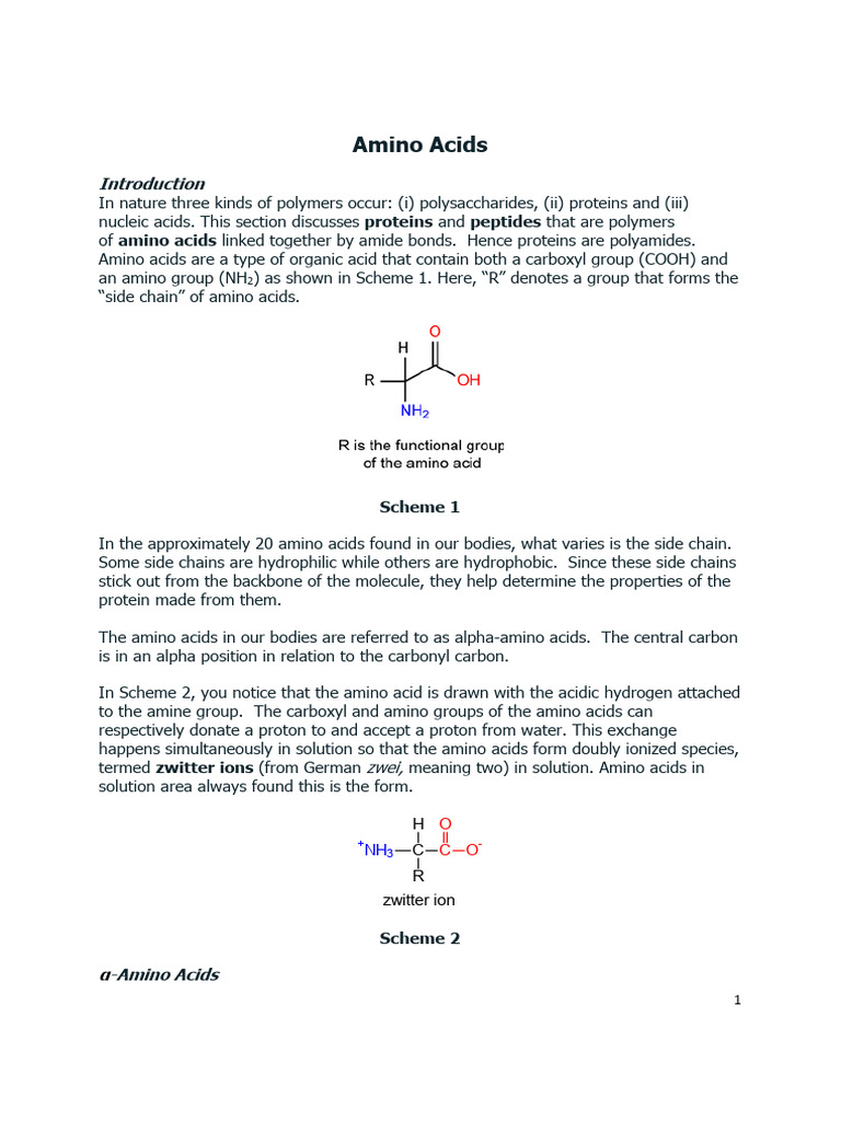 AminoAcids Peptides Proteins Notes. 6th J1 | PDF | Alpha Helix | Amino Acid