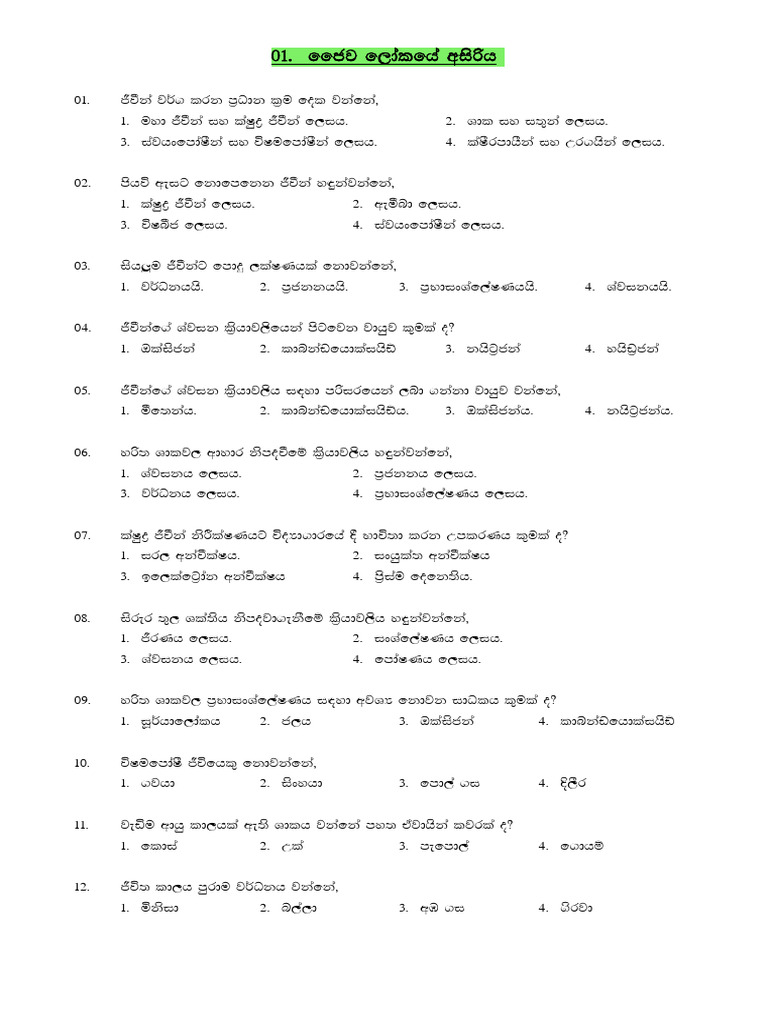 Comprehensive Guide to Document Structure | PDF