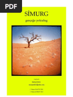 Simurg / Gerçeğe Yolculug