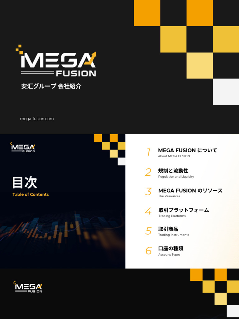 MegaFusion 公司簡介客戶版 (日文) 2025 | PDF