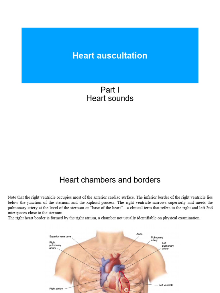 Heart Auscultation: Sounds & Anatomy | PDF | Heart Valve | Heart