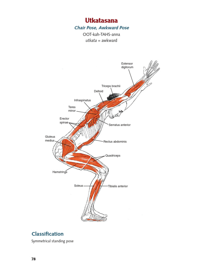 Yoga Poses and Muscle Engagement Guide | PDF | Anatomical Terms Of ...