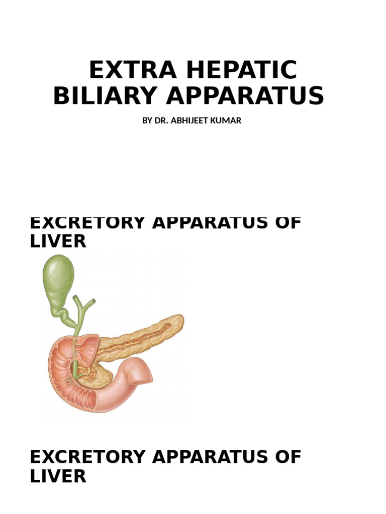 Anatomy of the Extra Hepatic Biliary System | PDF