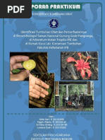 Download Laporan T Obat Kelompok 4 by Teguh Rianto SN97354227 doc pdf