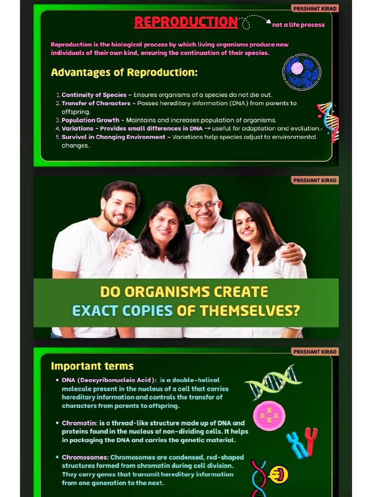 Science CH 7 | PDF