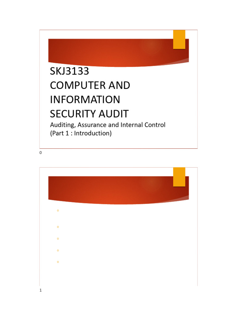 Computer Security Audit Overview | PDF | Audit | Internal Control