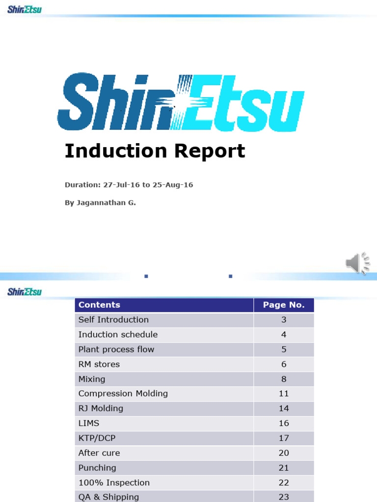 Induction Report for Polymer Manufacturing | PDF | Quality Assurance ...