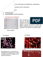 Fitopatologia