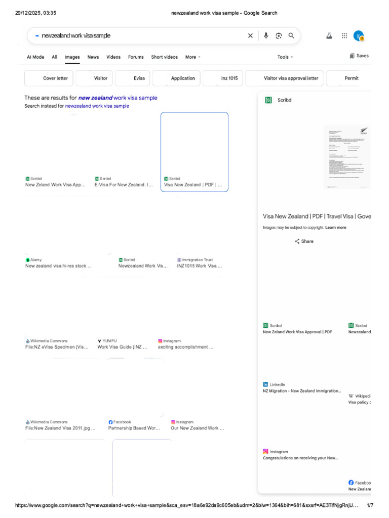 Newzealand Work Visa Sample - Google Search | PDF
