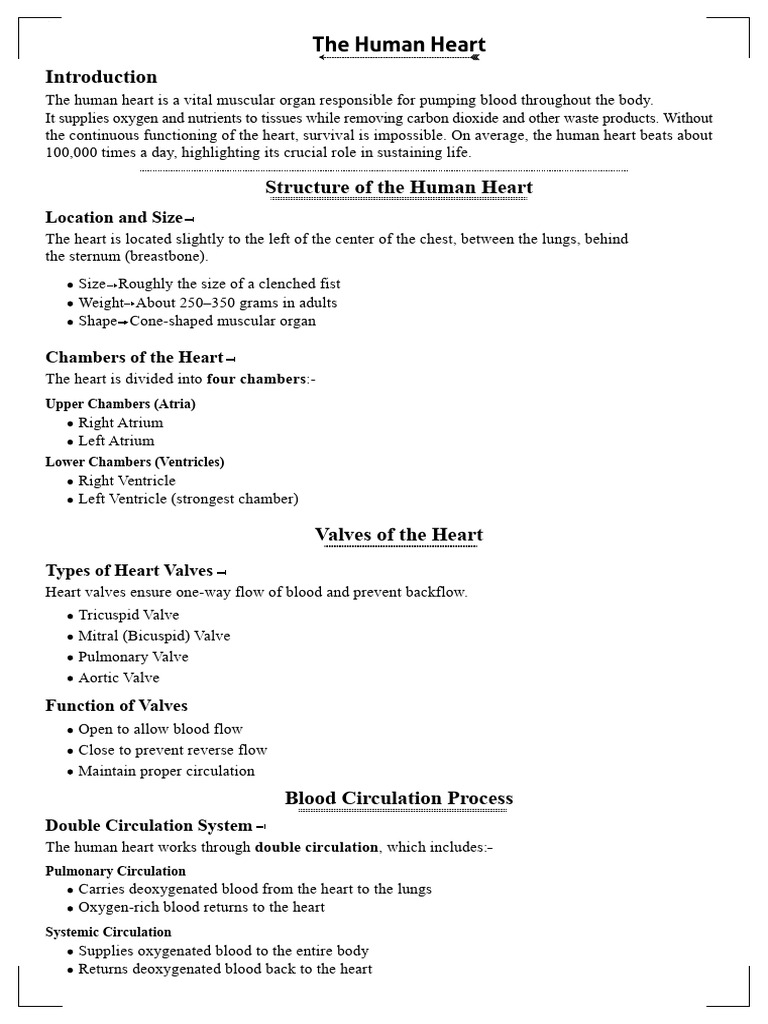 Human Heart Structure and Functions | PDF | Heart | Heart Valve