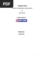 35335364 a Project Report on Employees Satisfaction Regarding HDFC Bank