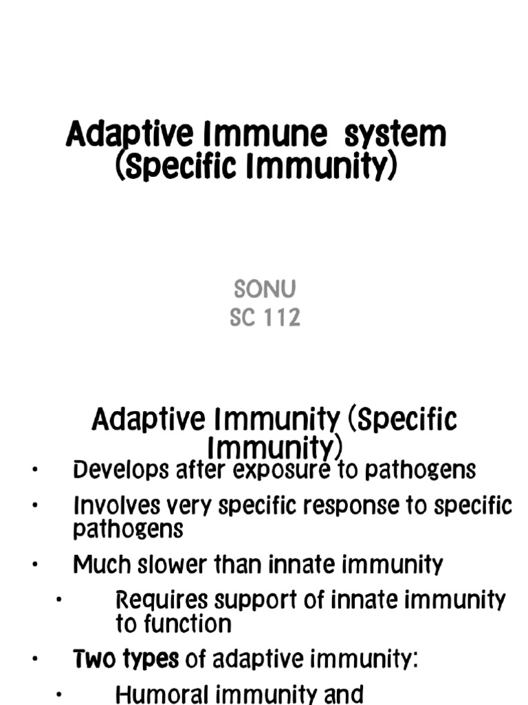 Adaptive Immune System - Phoenix | PDF