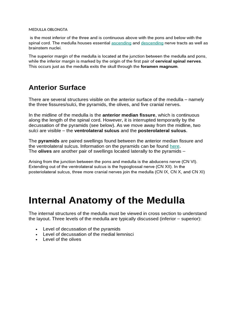 Anatomy of the Medulla Oblongata | PDF | Spinal Cord | Neuroanatomy