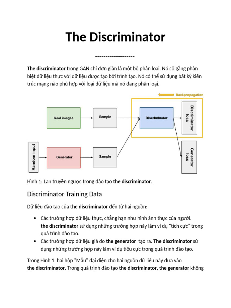 The Discriminator | PDF