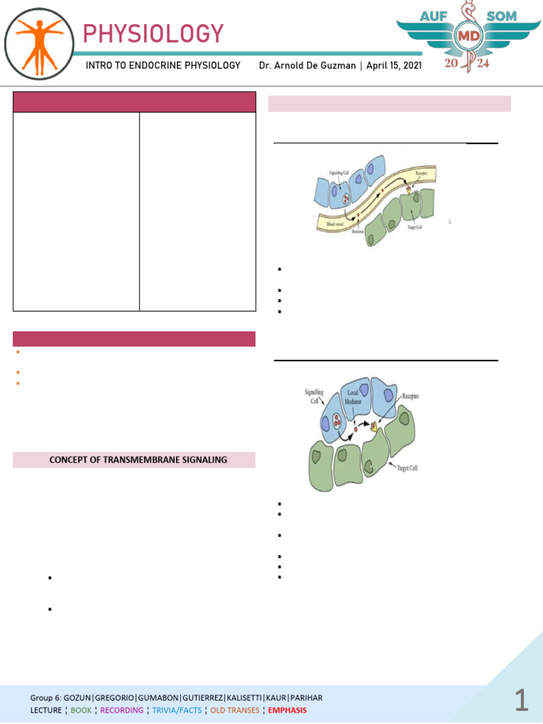 Endocrine Physiology and Signaling Overview | PDF | Cell Signaling ...