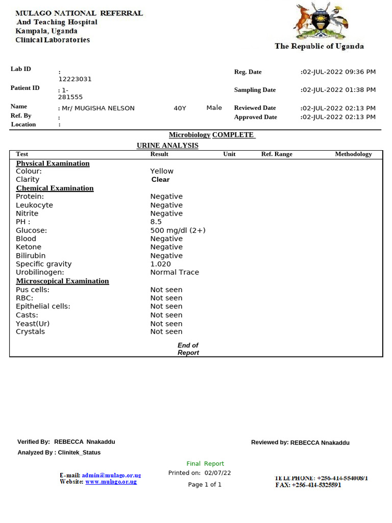 Urinalysis Template Jjul | PDF