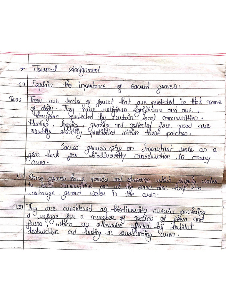 Journal Questions | PDF