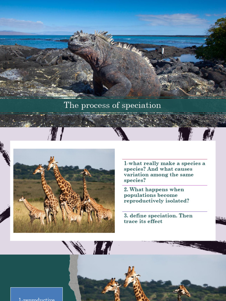 Understanding Speciation Processes | PDF | Species | Hybrid (Biology)