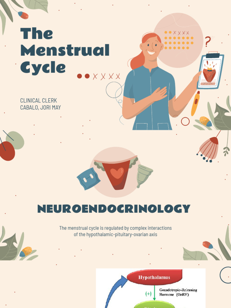 Menstrual Cycle Didactics | PDF | Menstrual Cycle | Luteinizing Hormone