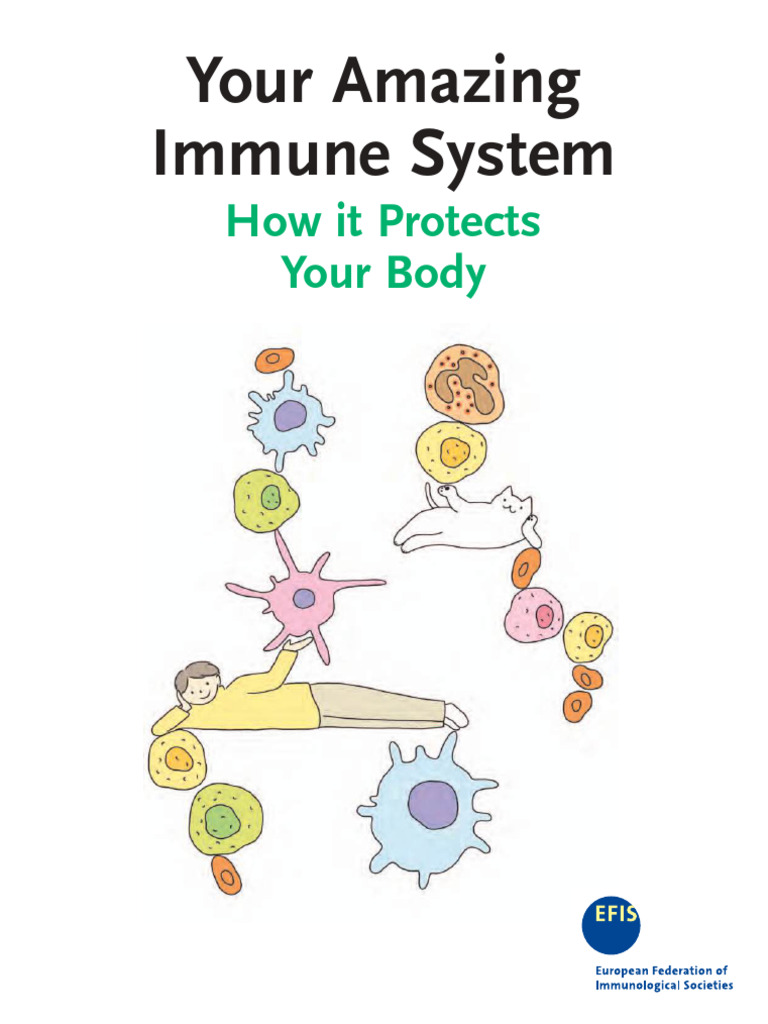Understanding Your Immune System | PDF | Lymphocyte | Antigen