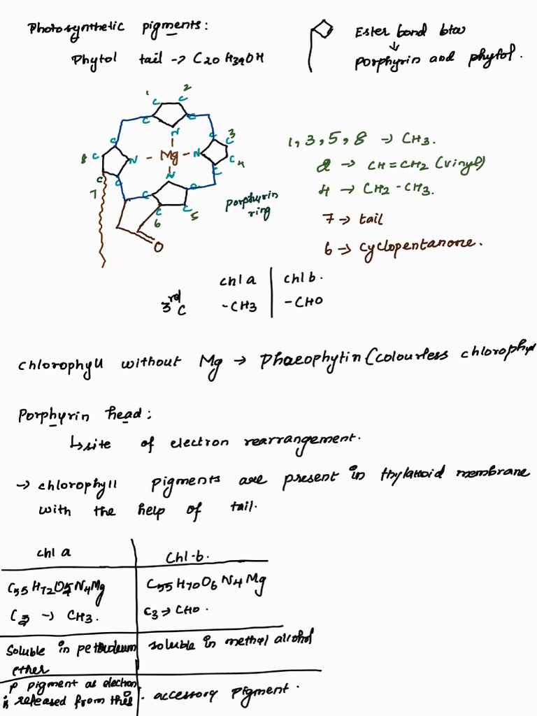 NSEJS Notes | PDF