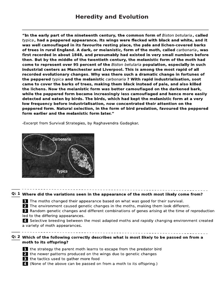 Selfstudys Com File | PDF