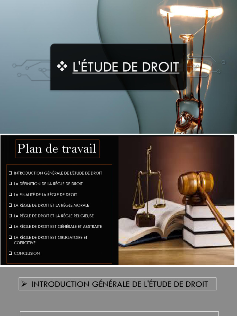 Comprendre la règle de droit en société | PDF | Justice | Crime et violence