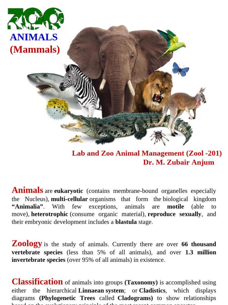 Zoo Animals (Mammals) | PDF | Mammals | Reptile