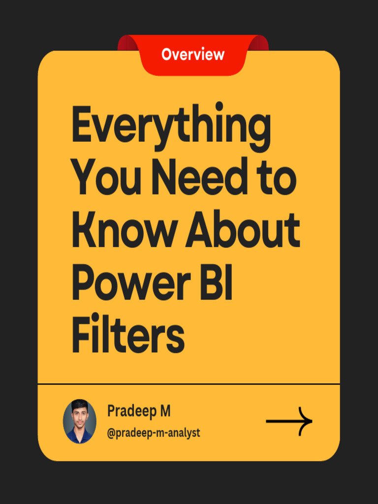 Power BI Filters: A Comprehensive Guide | PDF