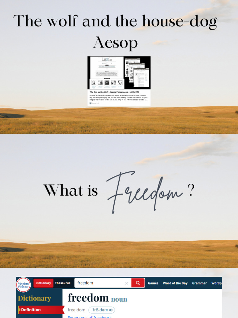 What Is Freedom | PDF