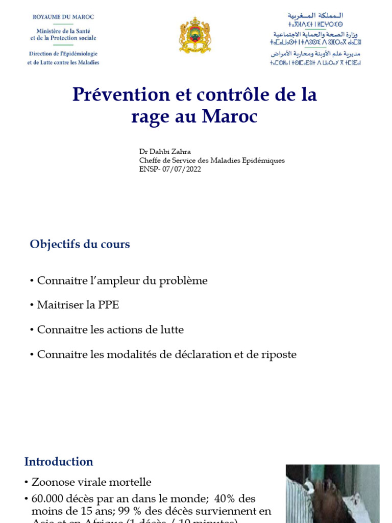 Prévention de la rage au Maroc : enjeux et actions | PDF | Rage ...