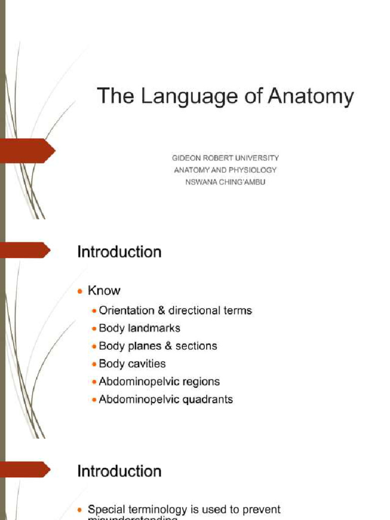 Language of Anatomy | PDF