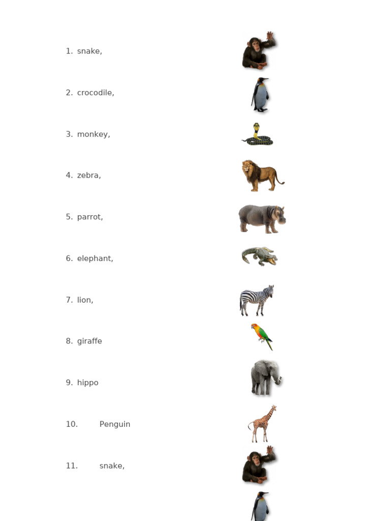 Matching Animals | PDF
