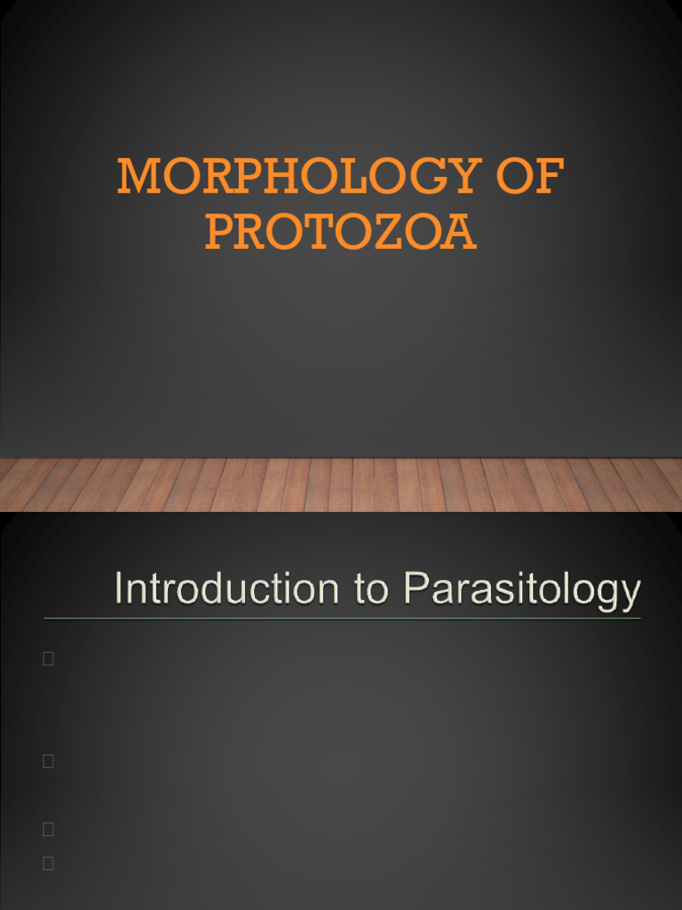 Morphology of Protozoa | PDF | Protozoa | Parasitism