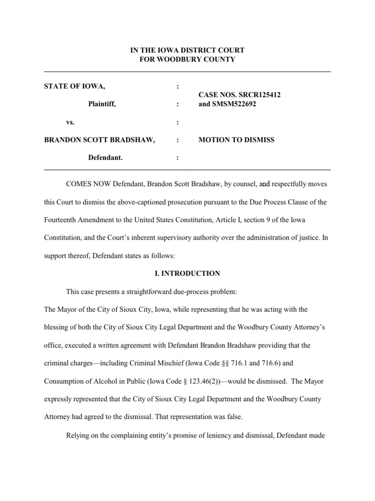 Motion to Dismiss Criminal Charges | PDF | Prosecutor | District Attorney