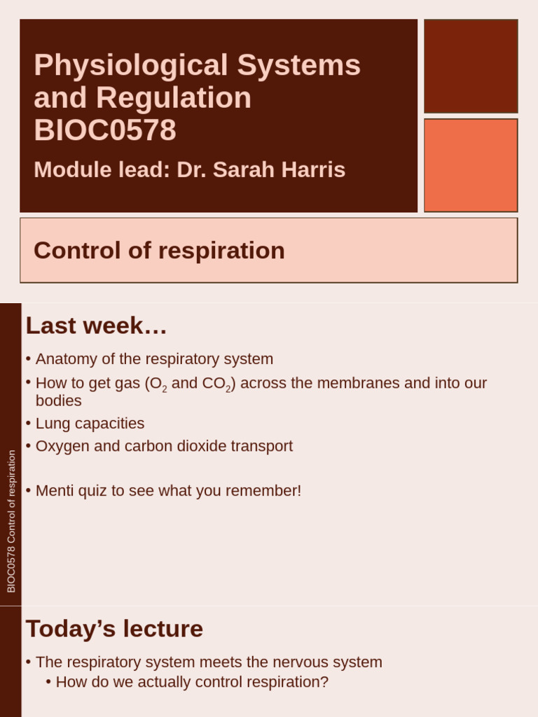 BIOC0578 Control of Respiration | PDF | Exhalation | Breathing