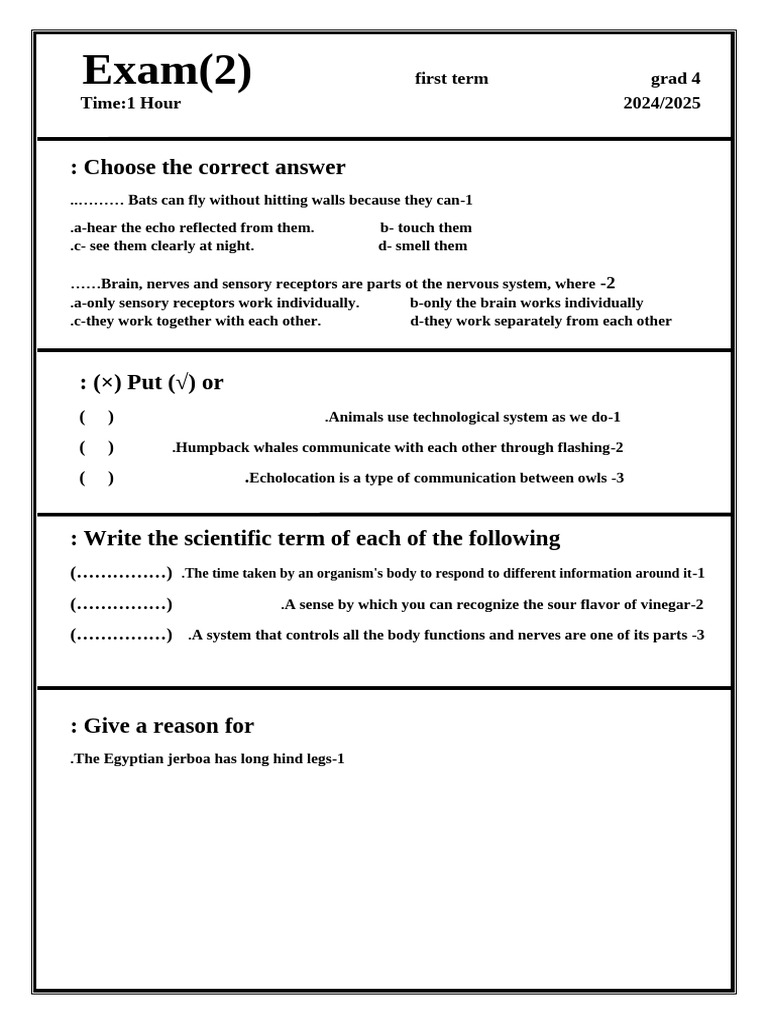 Exam System2222 | PDF