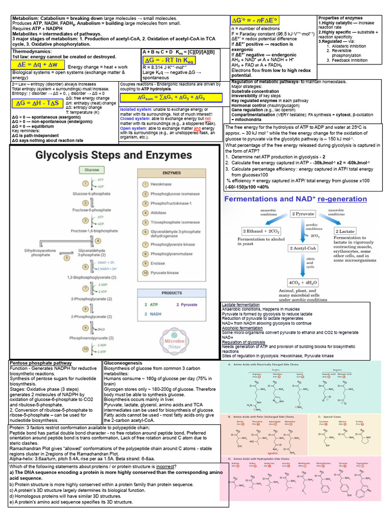 Metabolism Overview: Pathways and Regulation | PDF | Glycolysis | Cell ...