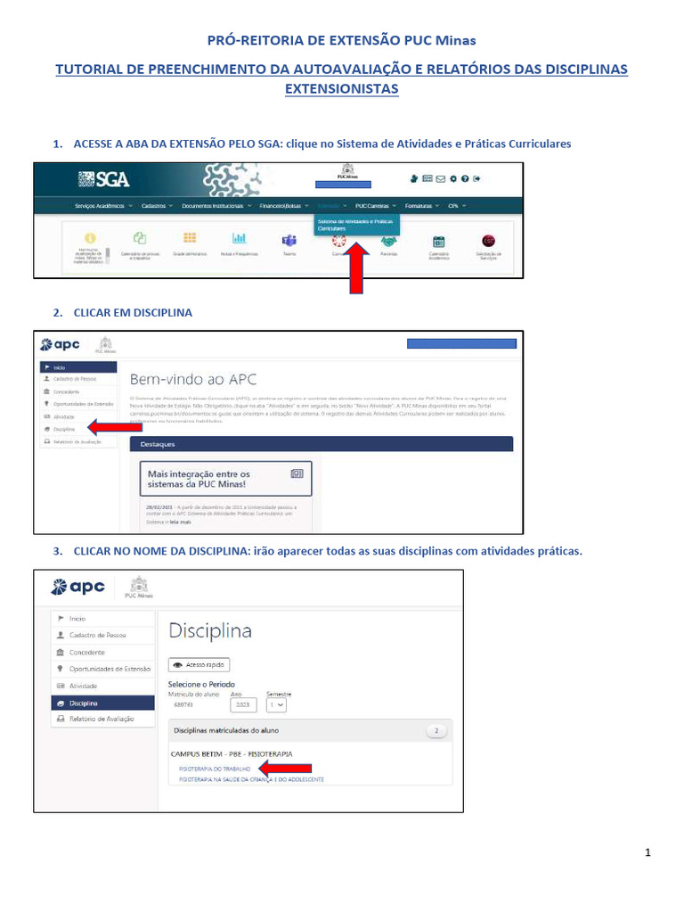 Tutorial de Autoavaliação PUC Minas | PDF