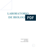 Informe Biologia, Tercero Medio