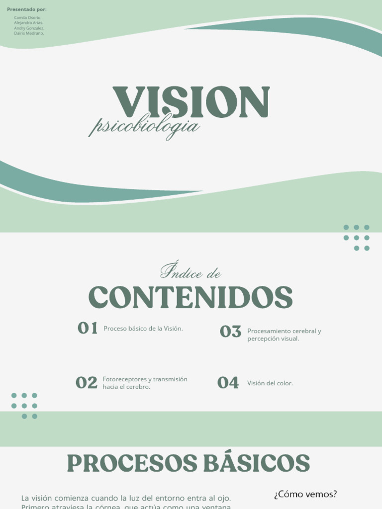 Procesos de la Visión Humana | PDF | Percepción visual | Color