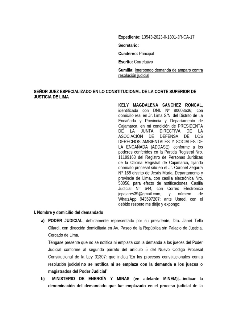 Demanda de Amparo contra Resolución Judicial | PDF | Demanda judicial ...
