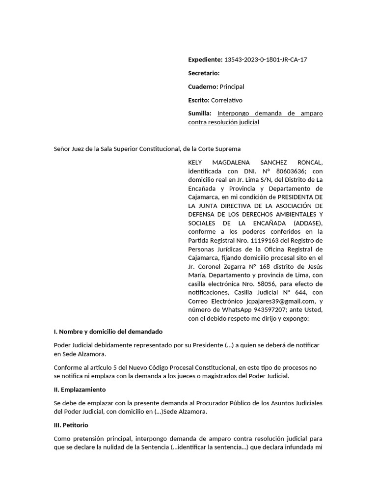 Demanda de Amparo por Tutela Judicial | PDF | Demanda judicial | Ley ...
