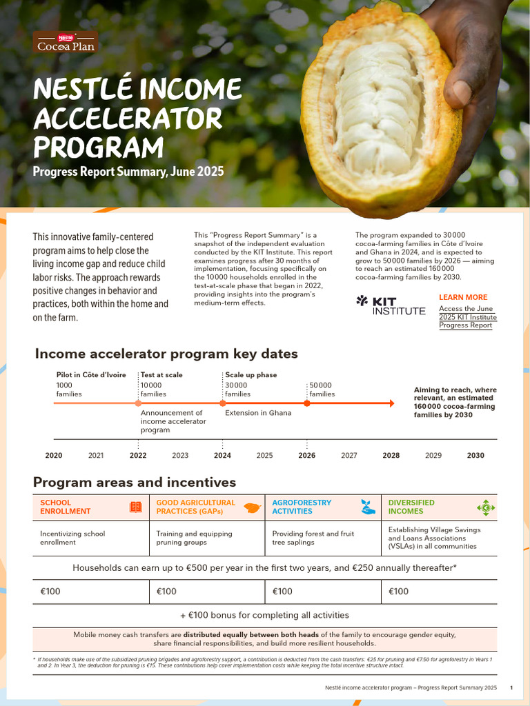 Income Accelerator Program Report Progress Report - June 2025 | PDF ...