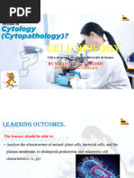Uneb s4 Uce 2025 Biology Paper 1 With Answers | PDF | Leaf | Plant Stem