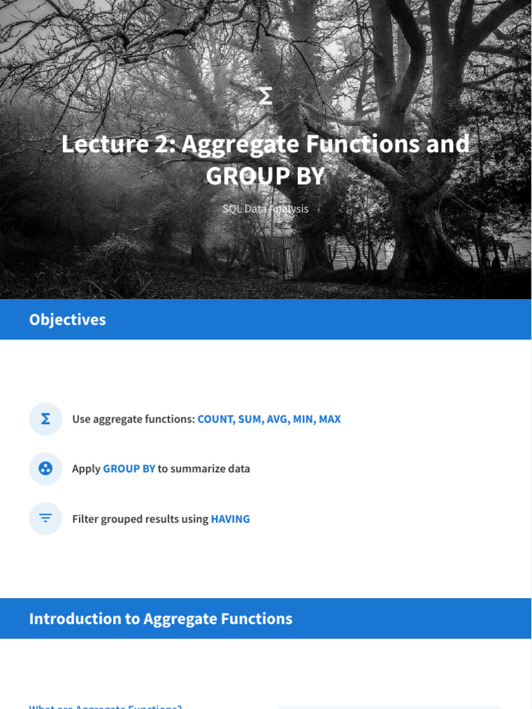 SQL Aggregate Functions and GROUP BY Guide | PDF | Data Management ...