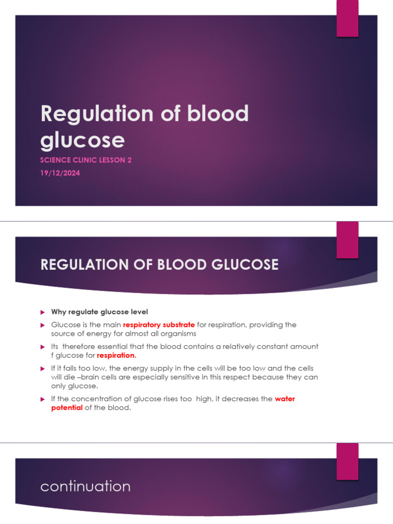 Blood Glucose Regulation Explained | PDF