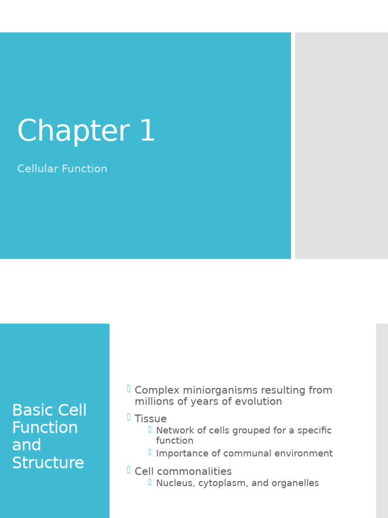 Chapter 1 PPT Slides Advanced Patho | PDF | Genetic Disorder | Cancer
